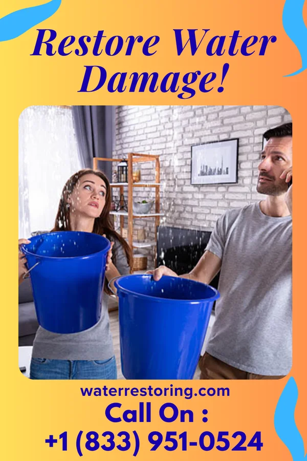 water restoration Global Sewage Cleanup Network Yorkville