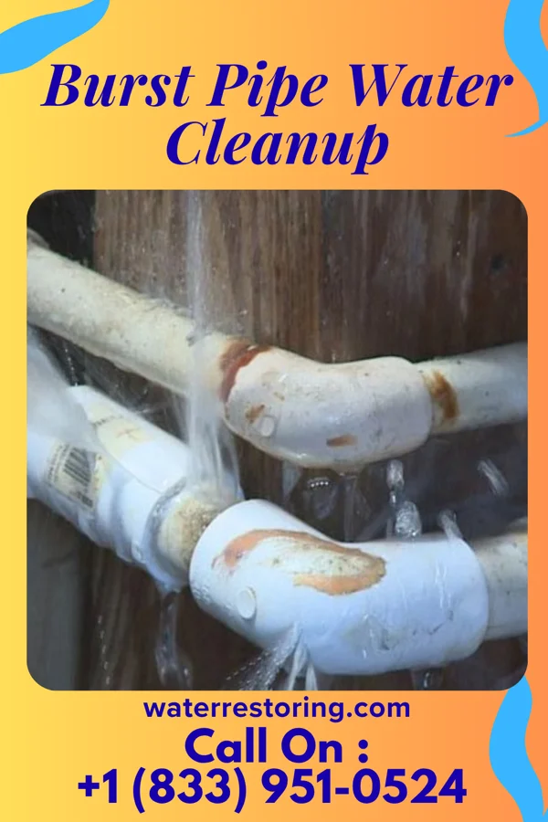 Burst Pipe Water Cleanup in Yorkville, WI